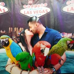 Meet your Posher, Gus